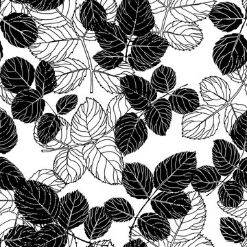 Foliage and flowers, leaves silhouette pattern © Sonulkaster