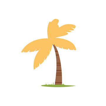 Coconut palm tree with yellow leaves vector illustration, flat icon design