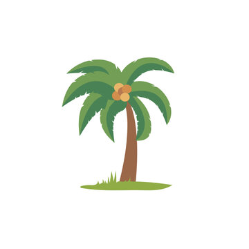 Palm tree with coconut fruit, flat cartoon style vector illustration
