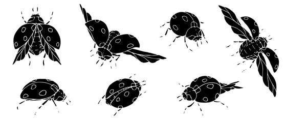 Set of silhouettes of summer ladybug insect.Vector graphics. © Катерина Якубович