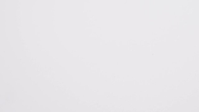 ゴキブリの白背景4Kスローモーション動画