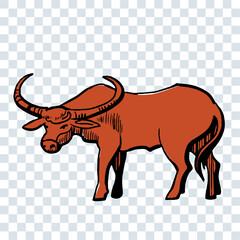 African buffalo with horns illustration isolated on transparent background.
