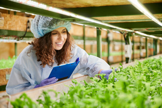 Joyful woman checking plant growth and taking notes in greenhouse. Female researcher in disposable cap and garden gloves looking at green leafy plants and smiling while writing on clipboard.