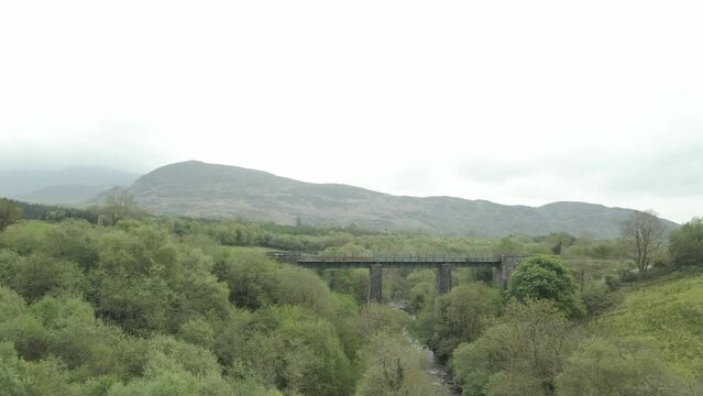 Unruly bushes covering railway track bridge to Kerry county Ireland 
