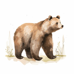 Artistic Watercolor Brown Bear Wildlife