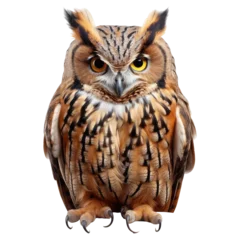 Fototapete Eulen-Cartoons owl isolated on transparent background . Generative AI