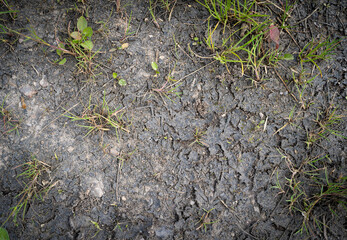 Cracked Dry Earth Texture Background, Global Warming Concept, Broken Clay Soil Texture with Cracks on Surface