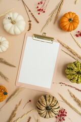 Clipboard tab with blank paper sheet, small decorative pumpkins and dried grass. Autumn, fall,...