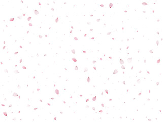 Flying Spring Sakura.