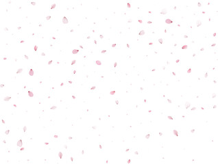 Flying Spring Sakura.