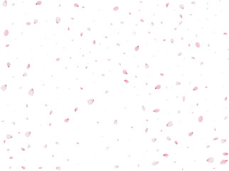 Spring Sakura Background.