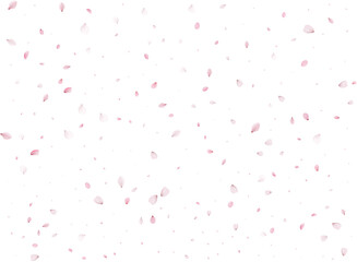 Spring Sakura Background.