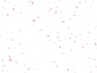 Spring Sakura Background.