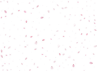 Spring Sakura Background.