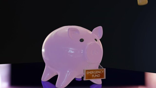 Piggy Bank: Emergency Fund