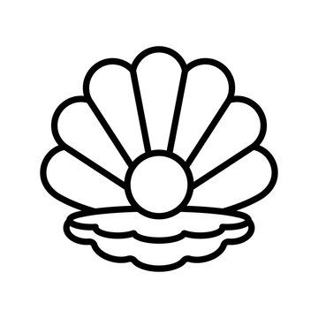 Vector illustration of seashell isolated on white background