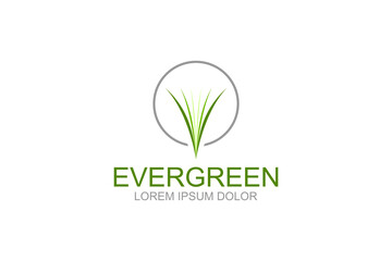 Grass green logo design plant organic nature leaves icon symbol