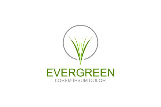 Grass green logo design plant organic nature leaves icon symbol