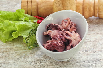 Marinated baby octopus seafood in the bowl