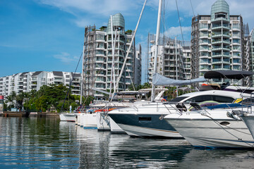 Fototapeta na wymiar A collection of luxurious yachts moored in a seaside harbor with a background of residential properties
