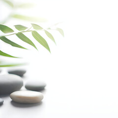 Fototapeta na wymiar Bright zen-themed product or service spotlight background, white light, zen stones, green leaves