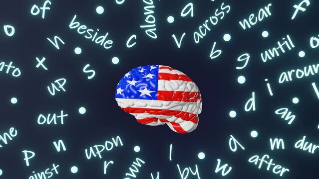 English learning American pronunciation Foreign language fluency conversation Human brain letter prepositions grammar accent 3d animation loop Studying USA Online school Speaking Course Advanced Level