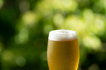 冷たいビール