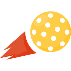 Pickleball