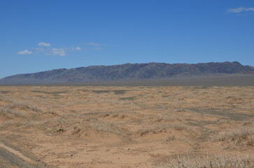 landscape in the desert
