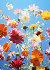 Blooming Colourful Flowers On Blue Sky Background