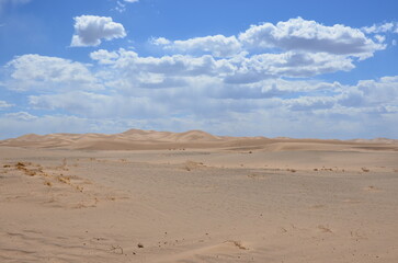 sand dunes in the desert
