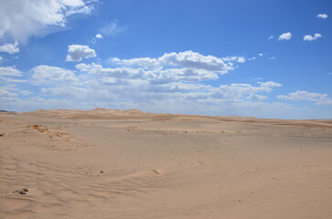 sand dunes in the desert