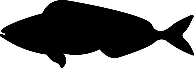 Tuna Fish Silhouette Illustration Vector