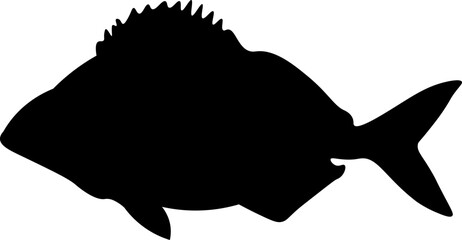 Deep Sea Fish Silhouette Illustration Vector