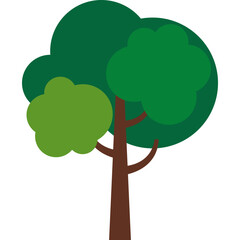 Tree Illustration