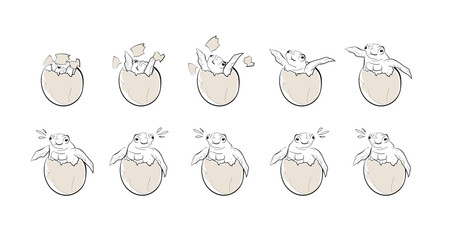Sea turtle birth. Animation frames