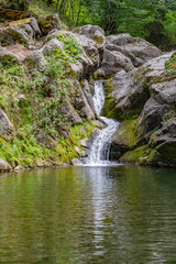 Fototapeta na wymiar Small lake and waterfall. Beautiful waterfall in the forest