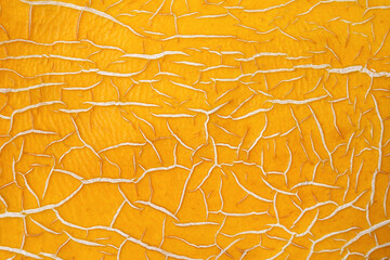 Yellow crack texture.Melon skin