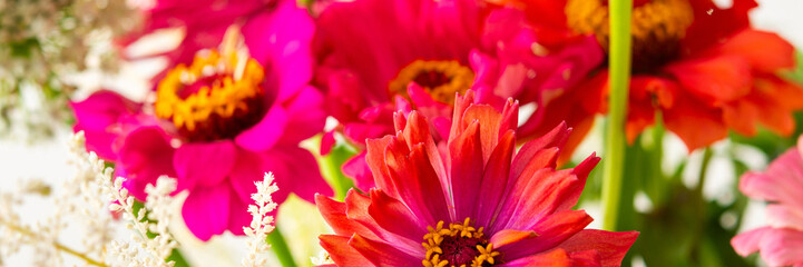Summer bouquet of colorful Zinnia, onion inflorescences and mint sprigs, bouquet of flowers on the table near the wall, home decoration with flowers banner