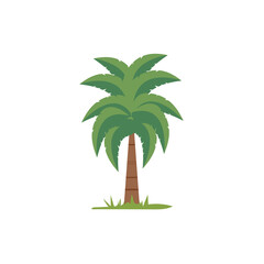 Green palm tree isolated on white backround, vector illustration