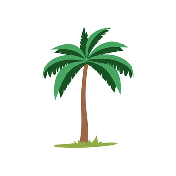 Coconut palm tree vector illustration, tropical plants flat icon design template elements