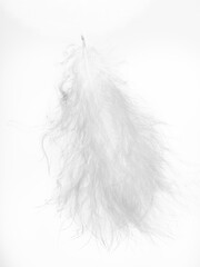 White fluffy feather on a perfect white background