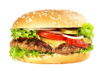 Grilled Cheeseburger Sandwich - Hamburger with Cheese on transparent PNG Background