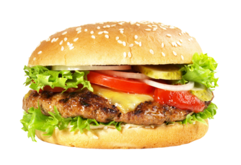 Grilled Cheeseburger Sandwich - Hamburger with Cheese on transparent PNG Background