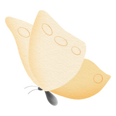 cartoon butterfly