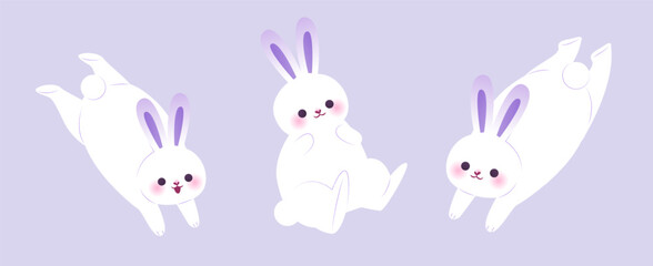 Adorable bunny set