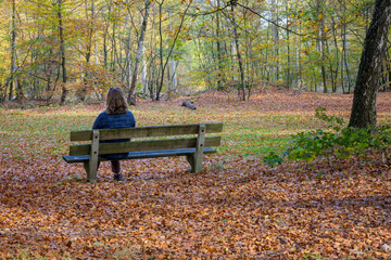 Women enjoying a bench in an autumn forest, the Netherlands.