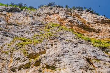 Trigrad gorge canyon of vertical marble rocks in rhodope mountains
