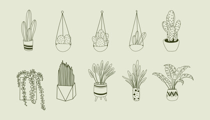 Set of houseplants in pots, home garden, hand drawn home ornamental plants vector illustration; isolated potted flowers clipart