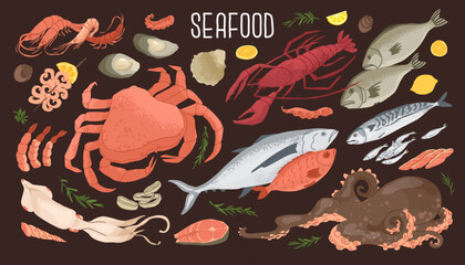Set of seafood products. Fresh fish, crab, lobster and shrimps. Concept for fish farms and food markets. Food rich in protein and iodine. Vector illustration isolated on white background.